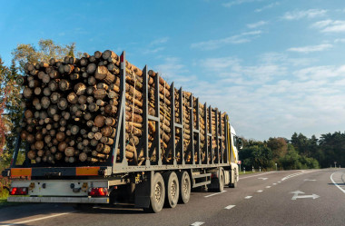 Ceny dreva stúpajú, množstvo klesá. Aká je situácia v drevárskom priemysle?